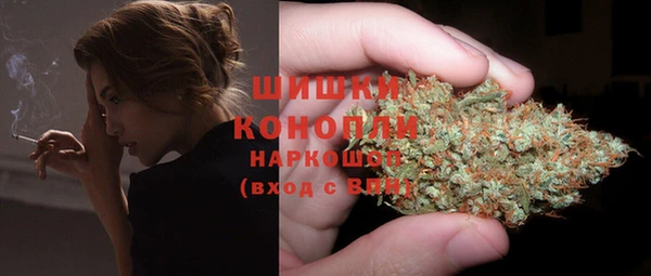 ПСИЛОЦИБИНОВЫЕ ГРИБЫ Аркадак