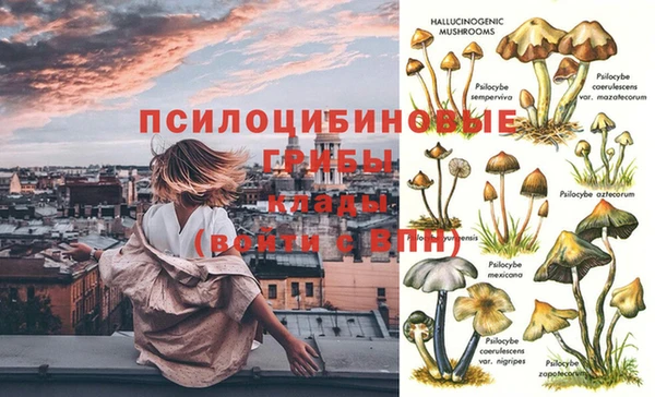 ПСИЛОЦИБИНОВЫЕ ГРИБЫ Аркадак