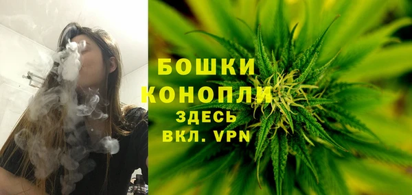 бутират Арсеньев