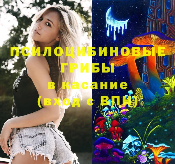 ПСИЛОЦИБИНОВЫЕ ГРИБЫ Аркадак