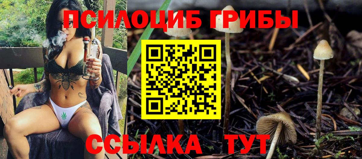 Галлюциногенные грибы GOLDEN TEACHER  Галлюциногенные грибы MAGIC MUSHROOMS  Буйнакск  Вход с VPN 