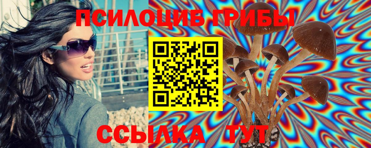 Псилоцибиновые грибы MAGIC MUSHROOMS Буйнакск