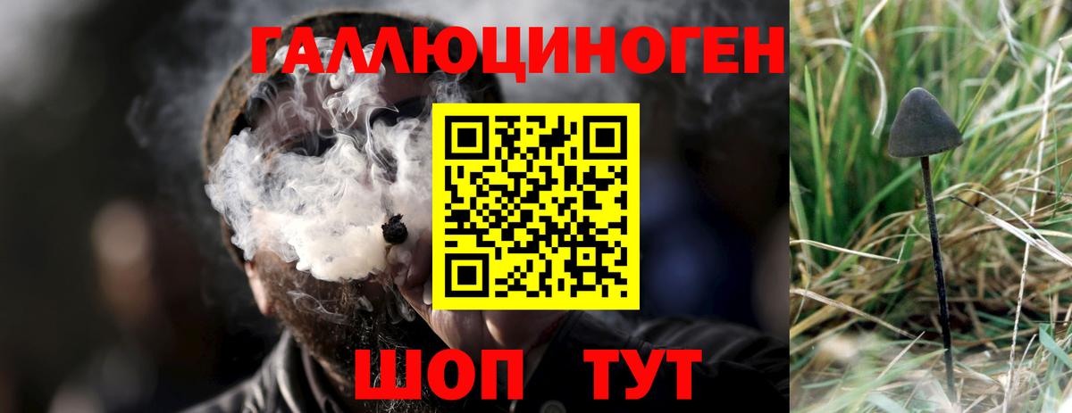 Галлюциногенные грибы MAGIC MUSHROOMS  Буйнакск  Галлюциногенные грибы MAGIC MUSHROOMS 